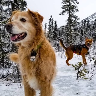 Lucy and Xyla 2018